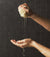 Hand & Body Wash Trio | Botanical Geranium, Rose & Wood - Thankyou Co (New Shopify)